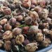 250g, Bai Shu Guo, Cypress Fruit, Tcm Herbal 