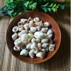 500g, Bai Luo Si Ke, Spiral shell, Tcm Herbal
