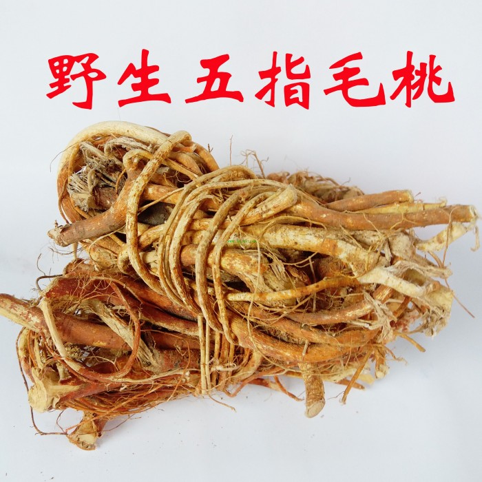 500g,Wu Zhi Mao Tao,Radix Fici Hirtae,Tcm Herbal