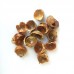 500g, Wu Huan Zi Pi, Root-bark of Chinese Soapberry, Tcm Herbal
